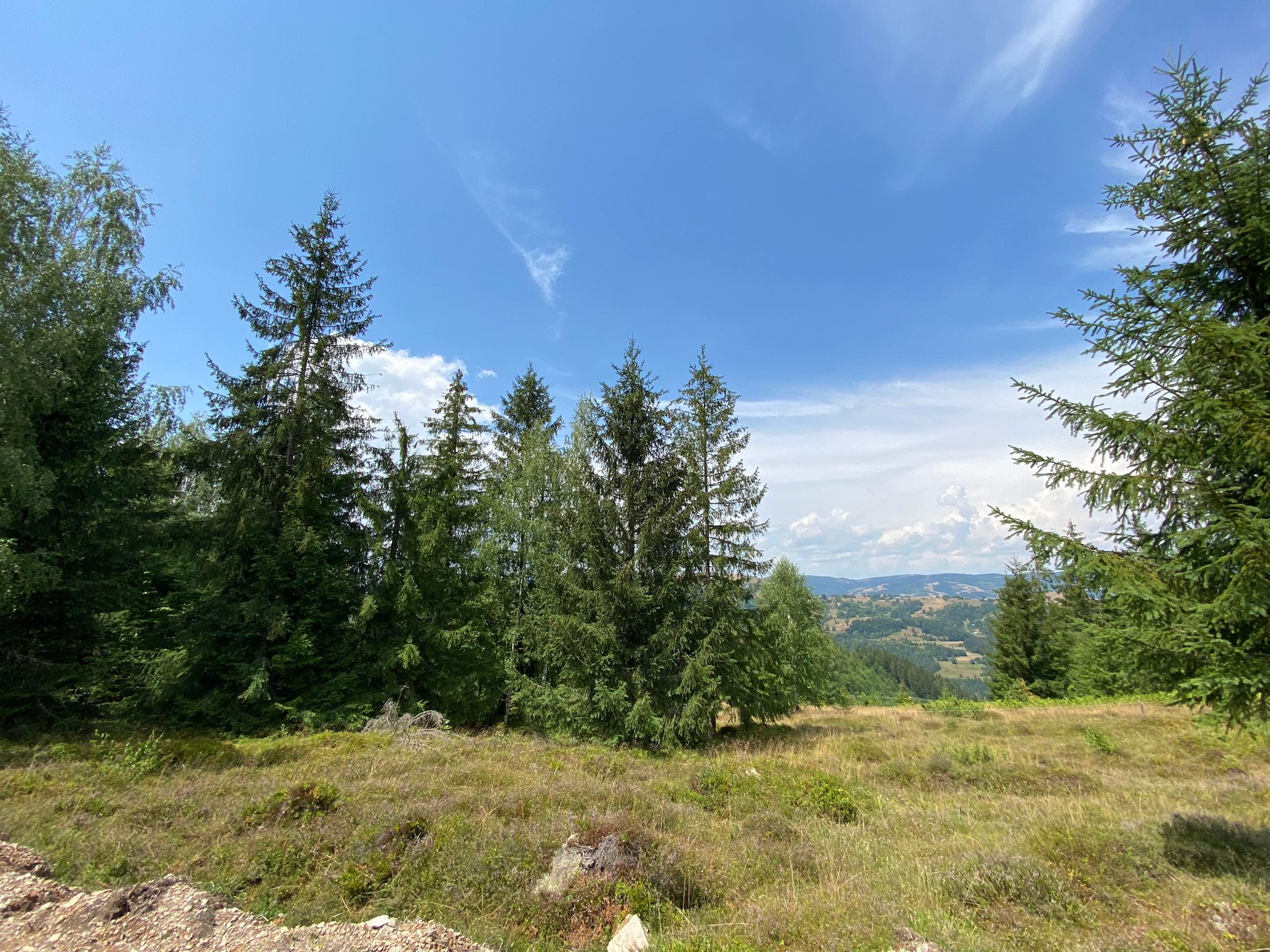 Sohodol teren de vanzare albac